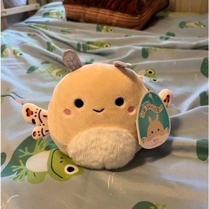 5” Berit the Moth Squishmallow